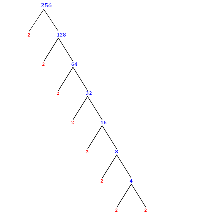 prime-factorization-of-256-with-a-factor-tree-mathondemand